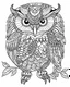 Placeholder: owl coloring page