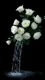 Placeholder: The image is a digital artwork that depicts a bouquet of white rose of the small water fall creating a wave-like effect. The background is black, which makes a branch of a tree of white roses stand out even more. Water droplets are scattered adding to the dreamy, ethereal quality of the image. The a