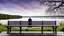 Placeholder: back to the camera on a old bench a figure sittings in a beautiful landscape and overlooking the water of the nearby lake, calm, harmonious atmosphere, muted dark colors, purple, white, gray, green, blue, brown, silver, and pale colors, ,not too colorful colors, Whimsical style and giant stunning neuron network all over the sky, half shadow and half light picture, surreal stunning vibe