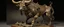 Placeholder: A bronze fire elemental bull designed in Japanese Oni masks painted by John Singer Sargent