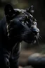 Placeholder: Black panther the animal 8k photo