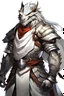 Placeholder: Barbarian, Asian, white dragonborn, no armor