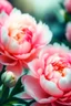 Placeholder: The flowers are pink delicate peony ...bush , English watercolor, hyperdetalization delicate pastel tones , hazy , mirage , haze , aesthetically pleasing, beautiful, bright lighting