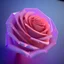 Placeholder: transparent multicolor crystal rose