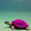 Placeholder: turtle and pink castle