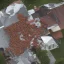 Placeholder: It's raining meatballs on my house then my house falls