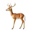 Placeholder: full body of a bald white tail deer with big smile facing left in the style of my little pony, on white background