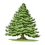 Placeholder: Syberian Cedar vector simple