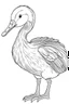 Placeholder: outline art for Gosling (Goose) coloring pages with sitch, white background, Sketch style, full body, only use outline, toddlers style, clean line art, white background, no shadows and clear and well outlined.