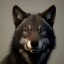 Placeholder: black alpha wolf baring teeth photorealistic