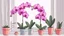 Placeholder: Cartoon orchid by the window painting