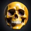 Placeholder: ANATOMICALLY CORRECT digital photograph of the SKULL OF A SMILEY FACE by davinci with fine line,