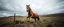 Placeholder: clumsy horse