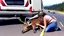 Placeholder: lady giving CPR to injured deer on highway I90 in front of a LARGE BUDGET MOVING VAN