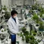 Placeholder: plant scientist in a laboratory miyazaki