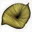 Placeholder: shell illustration, just the lines