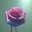 Placeholder: transparent multicolor crystal rose realistic,cinema lighting, unreal engine 5, cinema4d, octane render, hyperphotorealistic