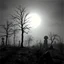 Placeholder: Close-up Ilford photograph of a creepy surreal landscape, eerie, very surreal, trees, spooky, metaphysical objects, giant sun, intricate, thoughtful, appalling, deep 3d field, 8k, hypermaximalist