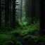 Placeholder: dark and quiet forest with abundant flora and rain