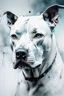 Placeholder: Portrait of a White Staffie dog with gentle expression in the style of Agnes Cecile, Willem Haenraets, Yoji Shinkawa, Guy Denning, Florian Nicolle In chalk and rough pastel