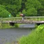 Placeholder: turtle crossing bridge