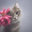 Placeholder: cat with flower in fog