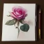 Placeholder: watercolor, roses