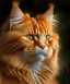 Placeholder: ginger cat