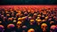 Placeholder: a field of 1000s of cartoonish, anatomically correct, skulls, vivid RANDOM BRIGHT neon colors, dark comedy, well lit, high detail, photorealistic, horrorcore, fun, scary, none featured, each a different color or hue,