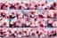 Placeholder: fantastic light pin cherry blossoms from many perspectives each as individual stickers layout in a grid