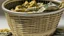 Placeholder: Gold and money in a laundry basket together with laundry