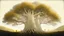 Placeholder: Valinor, tolkien, two giant trees, one giant golden tree, one giant silver tree