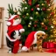 Placeholder: Christmas cat dancing a jig with Christmas dog in front of Christmas tree