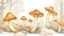 Placeholder: chanterelle muhsrooms in a row filled the area in style of drawing on a white background