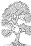 Placeholder: coloring page, apple tree, cartoon style, thick lines, low detail, no shading