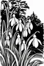 Placeholder: outline art of Snowdrops only black and white, no colour , White background. sketch style, clean line art, white background, no shadow and clear, no people, no colour, for book