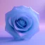 Placeholder: transparent multicolor crystal rose realistic, unreal engine 5, cinema4d, octane render, hyperphotorealistic