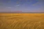 Placeholder: dry grass field by pantormo