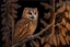 Placeholder: Brown Tawny Owl, pine tree, forest, autumn, dark night highly detailed intricate intricate details high definition crisp quality beautiful lighting pencil sketch watercolor dramatic lighting Deep shadows Warm colors warm light