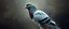 Placeholder: big ass human pigeon portrait, with background in the style of escher and giger, a chill contrapunctus fugue in the style of fsol, beethoven, goa trance breaks, dancefloor drum and bass,