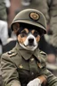 Placeholder: Un chien portant un uniforme militaire portant un signe de victoire