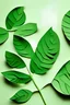 Placeholder: paper leaves cut out on a green table