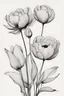 Placeholder: A ink drawing modern realism in fine line of a minimalist peony flower , a tulip and a poppy black ink on white background