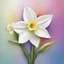 Placeholder: create an interesting white daffodil with color rainbow and colour backgrounds