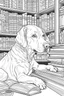 Placeholder: Outline art, no shading, dog in the book library, no shading, low details, --ar 9:11