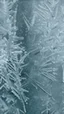 Placeholder: frost formed on glass