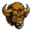 Placeholder: angled view of the head of a bull bison buffalo, sports mascot style