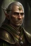 Placeholder: Portrait of an mid-old Elf general of a fantasy army,