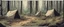 Placeholder: campsite, tents, overgrown, post-apocalyptic, comic book, forest, cinematic, from far away,