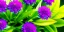 Placeholder: realistic, colorful, epic, ray tracing, cinematic, 8k, HD, Ultra High Definition, photo film, film grain, high quality ultra detailed vibrant colorful iridescent exotic weed plant